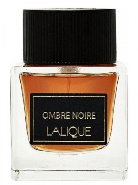 Lalique Ombre Noire EDP 100 ml Erkek Parfümü kullananlar yorumlar